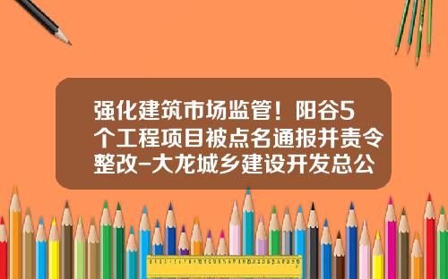 强化建筑市场监管！阳谷5个工程项目被点名通报并责令整改-大龙城乡建设开发总公司