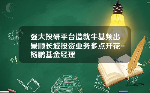 强大投研平台造就牛基频出景顺长城投资业务多点开花-杨鹏基金经理