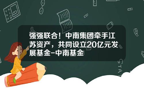 强强联合！中南集团牵手江苏资产，共同设立20亿元发展基金-中南基金