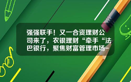 强强联手！又一合资理财公司来了，农银理财“牵手“法巴银行，聚焦财富管理市场-合资证券公司