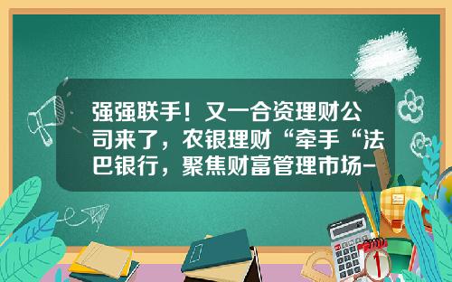 强强联手！又一合资理财公司来了，农银理财“牵手“法巴银行，聚焦财富管理市场-海外理财公司
