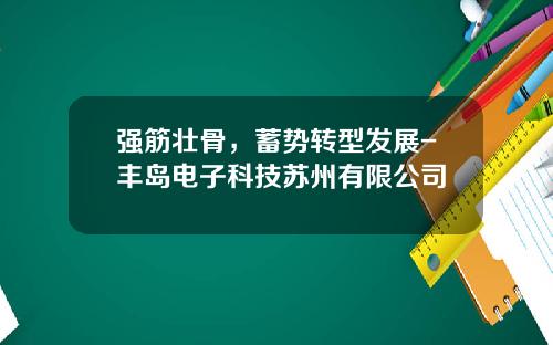 强筋壮骨，蓄势转型发展-丰岛电子科技苏州有限公司