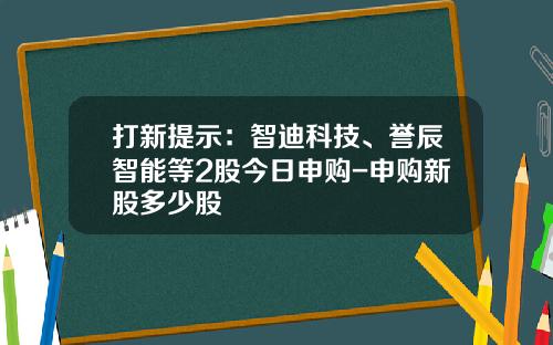 打新提示：智迪科技、誉辰智能等2股今日申购-申购新股多少股