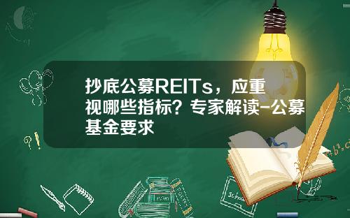 抄底公募REITs，应重视哪些指标？专家解读-公募基金要求