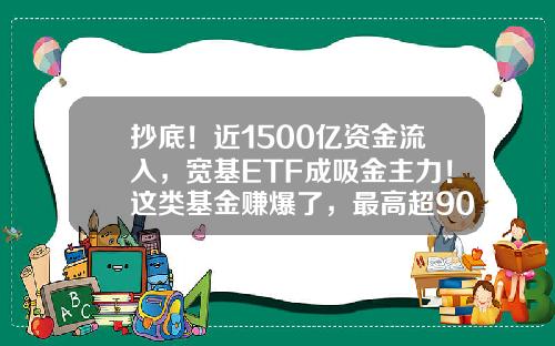 抄底！近1500亿资金流入，宽基ETF成吸金主力！这类基金赚爆了，最高超90%-达大基金