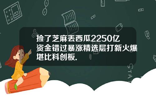 捡了芝麻丢西瓜2250亿资金错过暴涨精选层打新火爆堪比科创板.