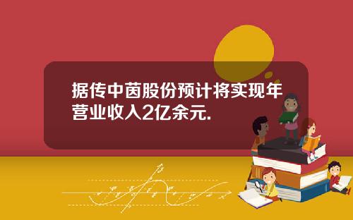 据传中茵股份预计将实现年营业收入2亿余元.