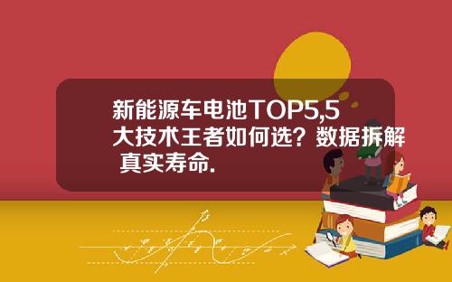 新能源车电池TOP5,5大技术王者如何选？数据拆解+真实寿命.