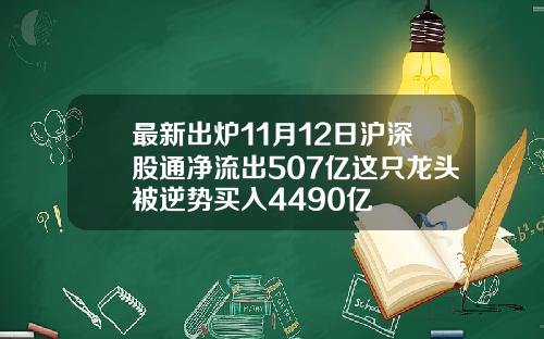 最新出炉11月12日沪深股通净流出507亿这只龙头被逆势买入4490亿