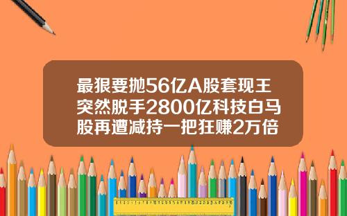 最狠要抛56亿A股套现王突然脱手2800亿科技白马股再遭减持一把狂赚2万倍