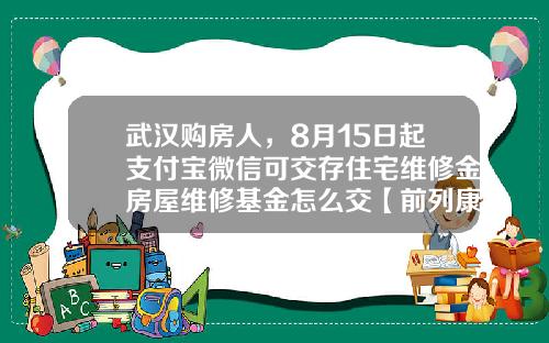 武汉购房人，8月15日起支付宝微信可交存住宅维修金房屋维修基金怎么交【前列康】