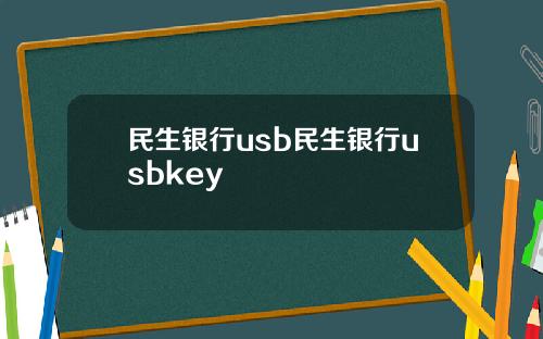 民生银行usb民生银行usbkey