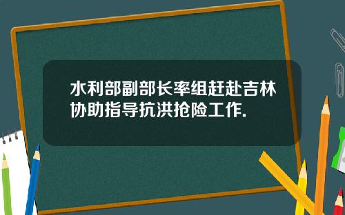 水利部副部长率组赶赴吉林协助指导抗洪抢险工作.