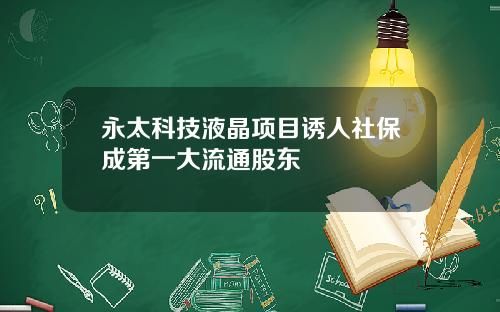 永太科技液晶项目诱人社保成第一大流通股东