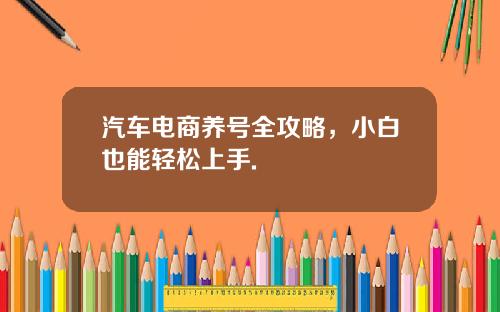 汽车电商养号全攻略，小白也能轻松上手.