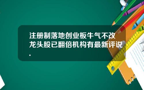 注册制落地创业板牛气不改龙头股已翻倍机构有最新评说.