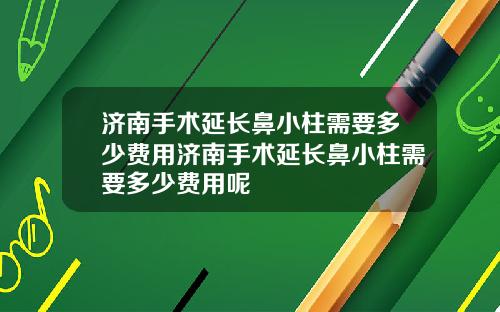济南手术延长鼻小柱需要多少费用济南手术延长鼻小柱需要多少费用呢
