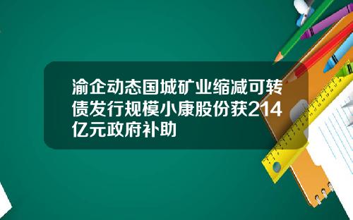 渝企动态国城矿业缩减可转债发行规模小康股份获214亿元政府补助