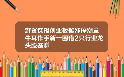 游资谍报创业板掀涨停潮章牛耳作手新一围猎2只行业龙头股暴赚