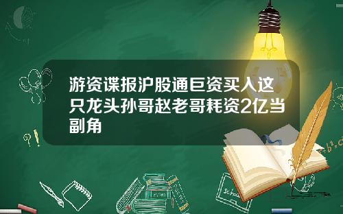 游资谍报沪股通巨资买入这只龙头孙哥赵老哥耗资2亿当副角