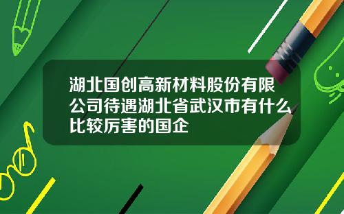 湖北国创高新材料股份有限公司待遇湖北省武汉市有什么比较厉害的国企