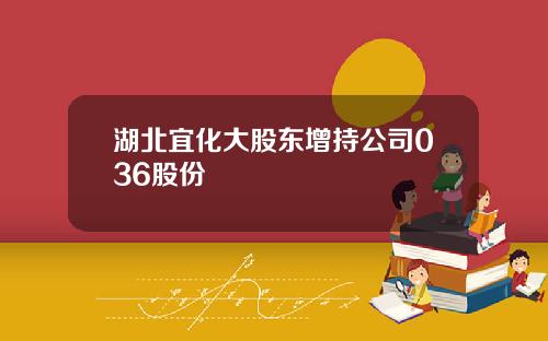 湖北宜化大股东增持公司036股份