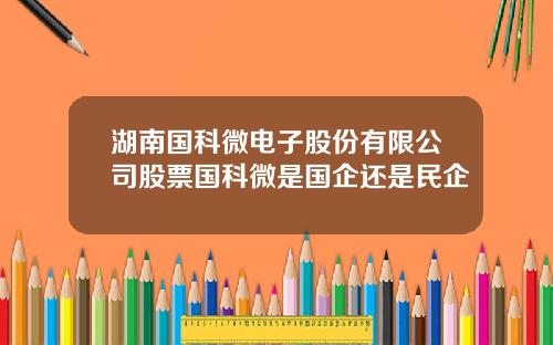 湖南国科微电子股份有限公司股票国科微是国企还是民企