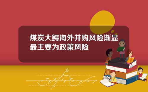 煤炭大鳄海外并购风险渐显最主要为政策风险