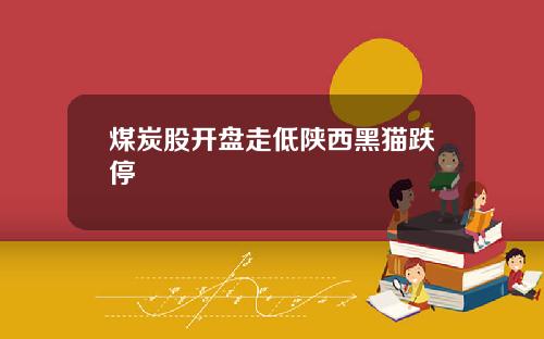 煤炭股开盘走低陕西黑猫跌停