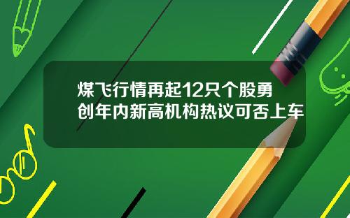 煤飞行情再起12只个股勇创年内新高机构热议可否上车