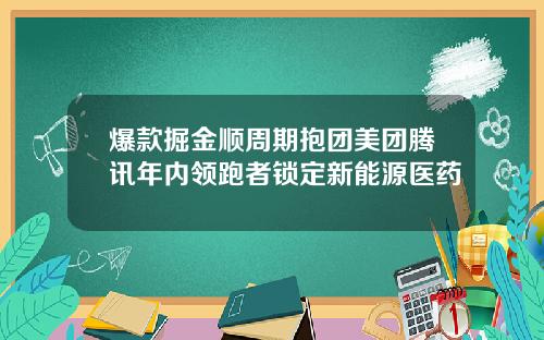 爆款掘金顺周期抱团美团腾讯年内领跑者锁定新能源医药
