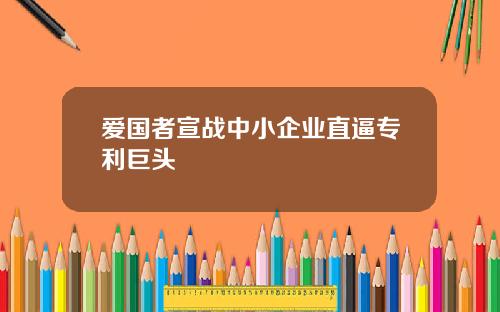 爱国者宣战中小企业直逼专利巨头
