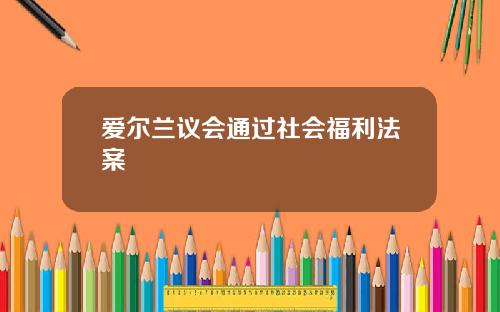 爱尔兰议会通过社会福利法案