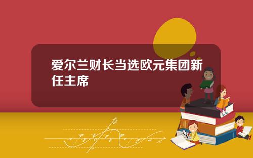 爱尔兰财长当选欧元集团新任主席