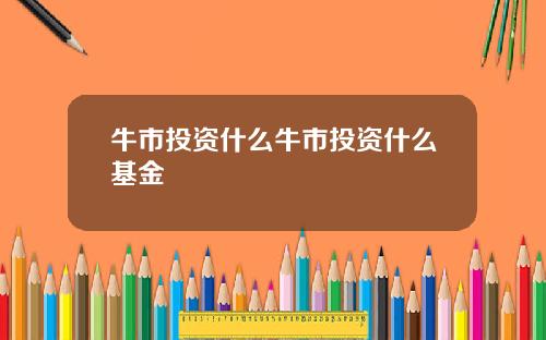 牛市投资什么牛市投资什么基金