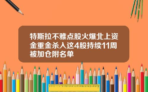 特斯拉不雅点股火爆北上资金重金杀入这4股持续11周被加仓附名单