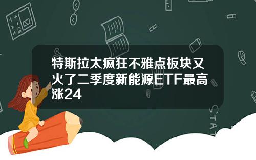 特斯拉太疯狂不雅点板块又火了二季度新能源ETF最高涨24