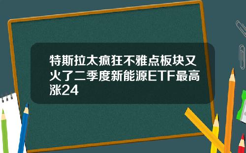 特斯拉太疯狂不雅点板块又火了二季度新能源ETF最高涨24