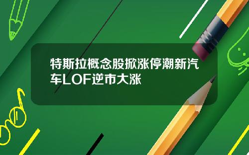 特斯拉概念股掀涨停潮新汽车LOF逆市大涨
