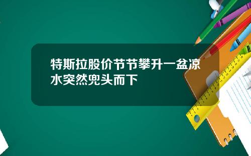 特斯拉股价节节攀升一盆凉水突然兜头而下