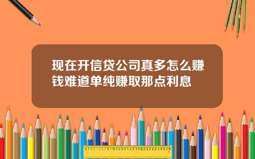 现在开信贷公司真多怎么赚钱难道单纯赚取那点利息