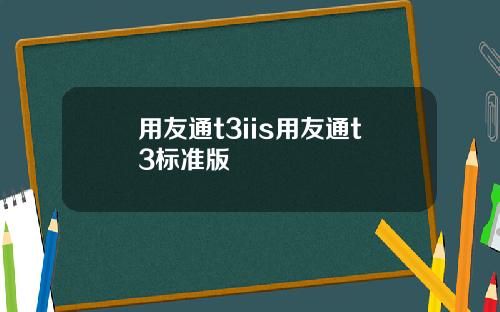 用友通t3iis用友通t3标准版