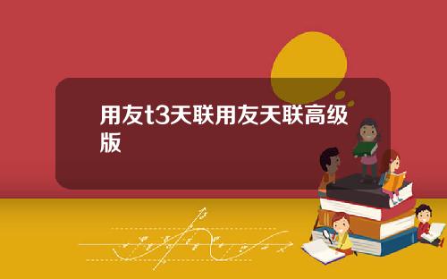 用友t3天联用友天联高级版