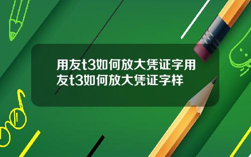 用友t3如何放大凭证字用友t3如何放大凭证字样