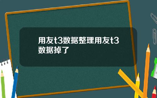 用友t3数据整理用友t3数据掉了