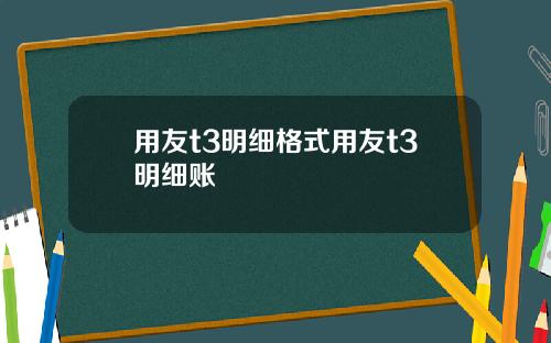 用友t3明细格式用友t3明细账
