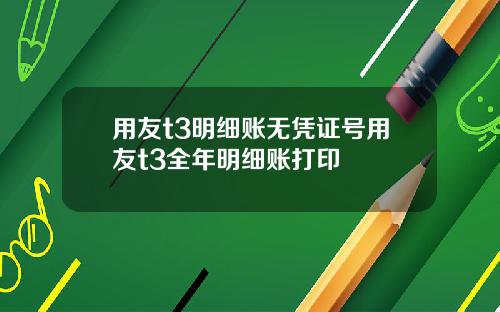 用友t3明细账无凭证号用友t3全年明细账打印