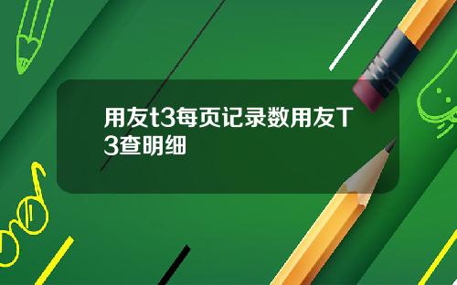 用友t3每页记录数用友T3查明细
