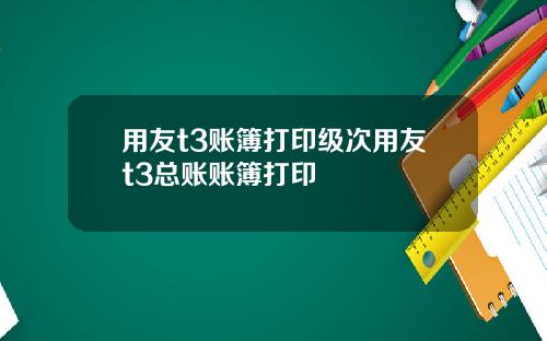 用友t3账簿打印级次用友t3总账账簿打印