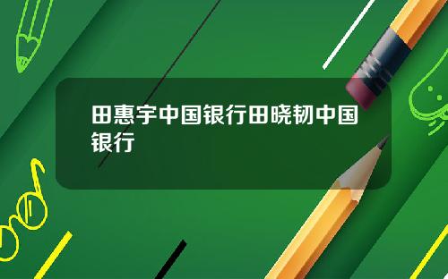 田惠宇中国银行田晓韧中国银行